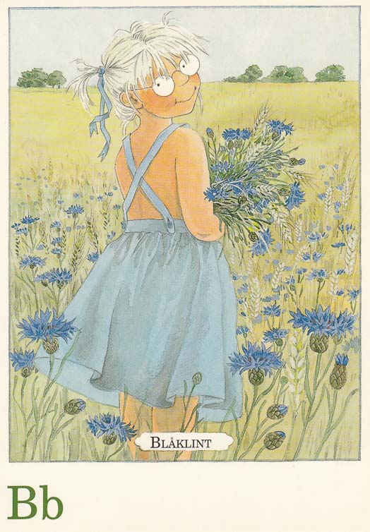 letterkaartjes-maja-pakket-26-stuks-b