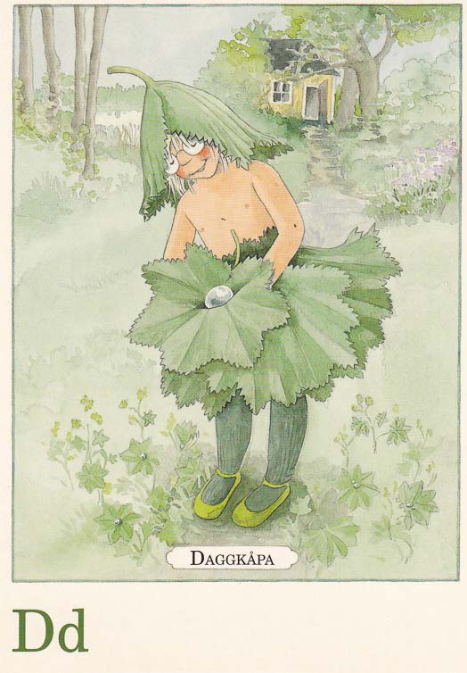 letterkaartjes-maja-pakket-26-stuks-d