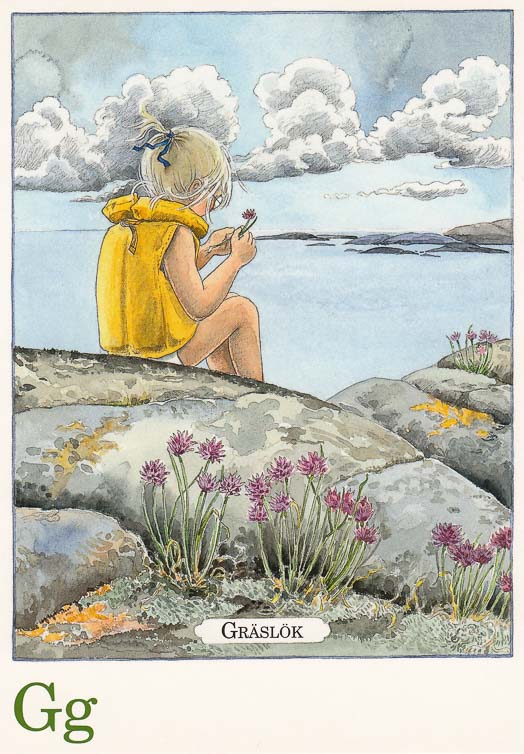 letterkaartjes-maja-pakket-26-stuks-g