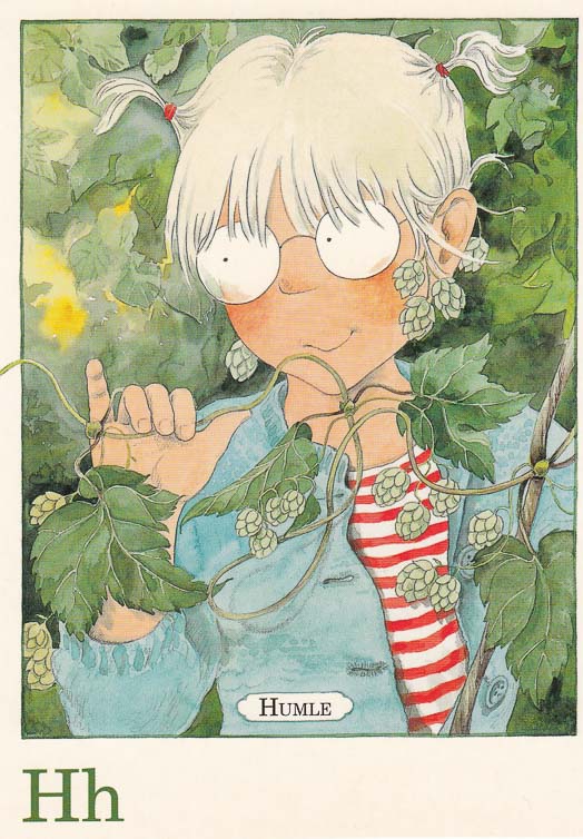 letterkaartjes-maja-pakket-26-stuks-h