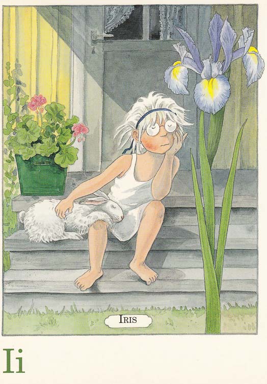 letterkaartjes-maja-pakket-26-stuks-i