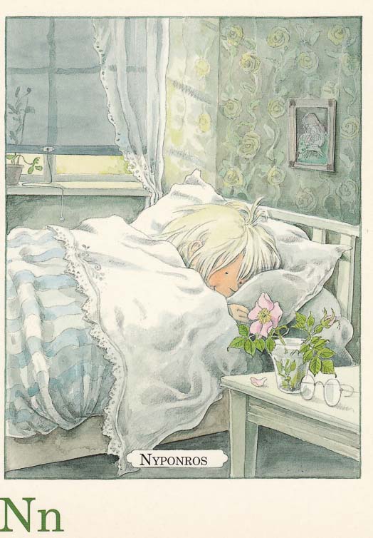 letterkaartjes-maja-pakket-26-stuks-n