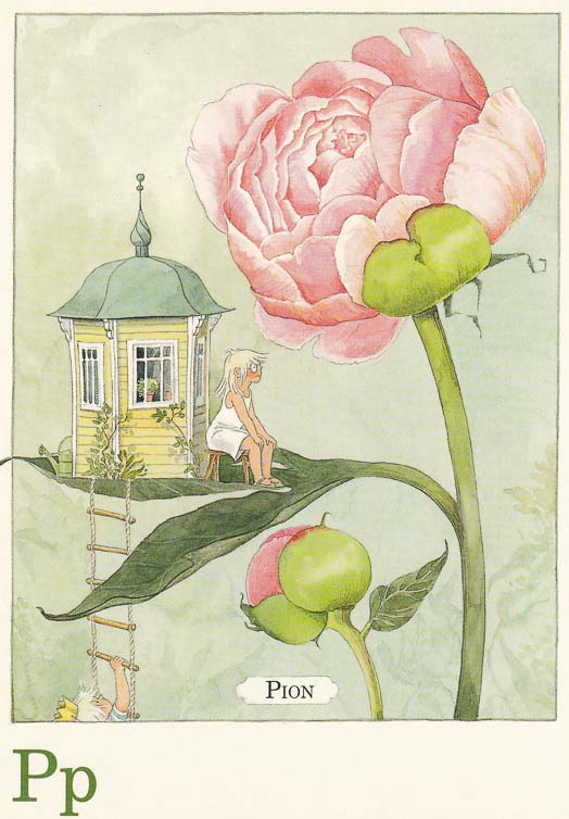 letterkaartjes-maja-pakket-26-stuks-p