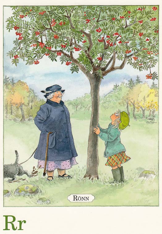 letterkaartjes-maja-pakket-26-stuks-r