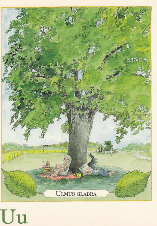 letterkaartjes-maja-pakket-26-stuks-u