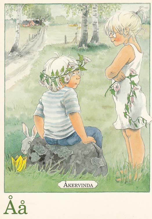 letterkaartjes-maja-pakket-26-stuks-a-2