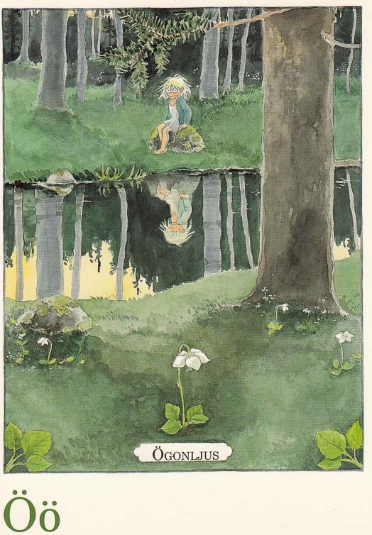 letterkaartjes-maja-pakket-26-stuks-o-2