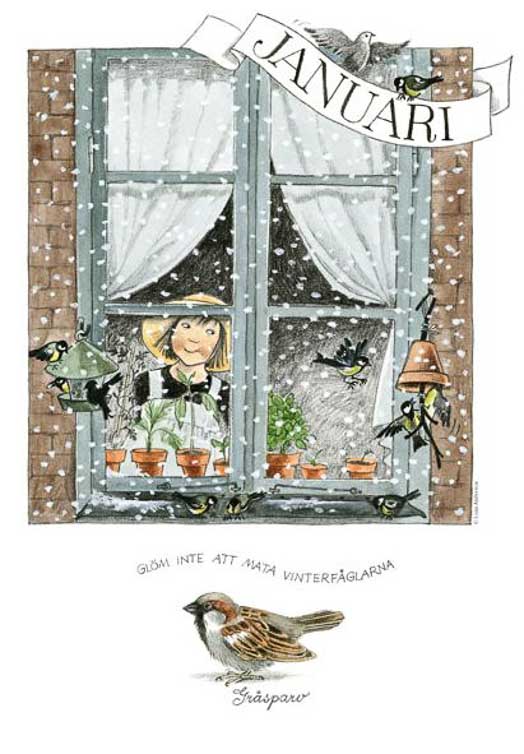 maandkaarten-linnea-pakket-12-stuks-2