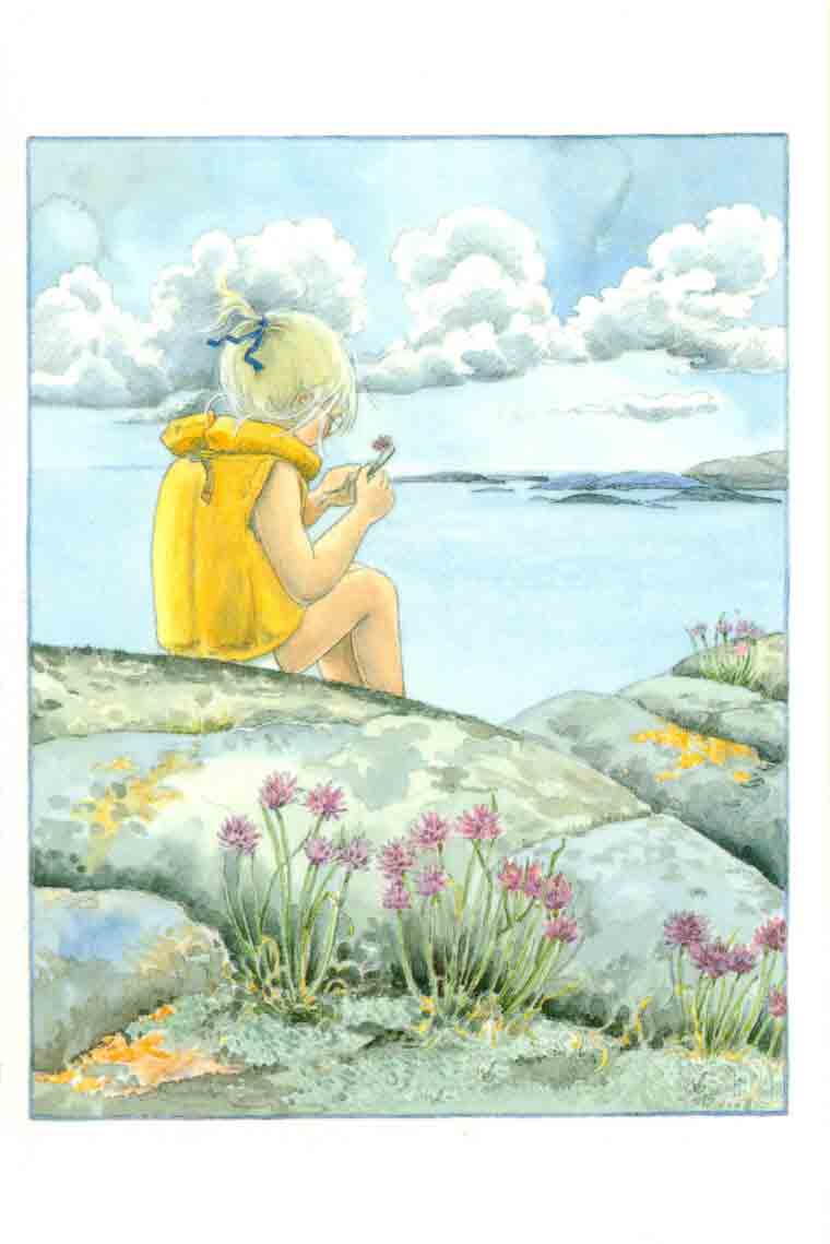 majas-minikaart-aardbeien-2