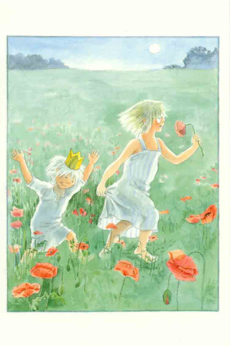 majas-minikaart-aardbeien-3