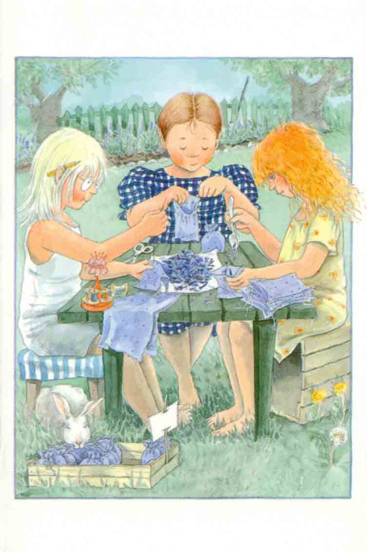 majas-minikaart-aardbeien-5