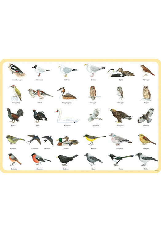 Swedish Nature Tischset