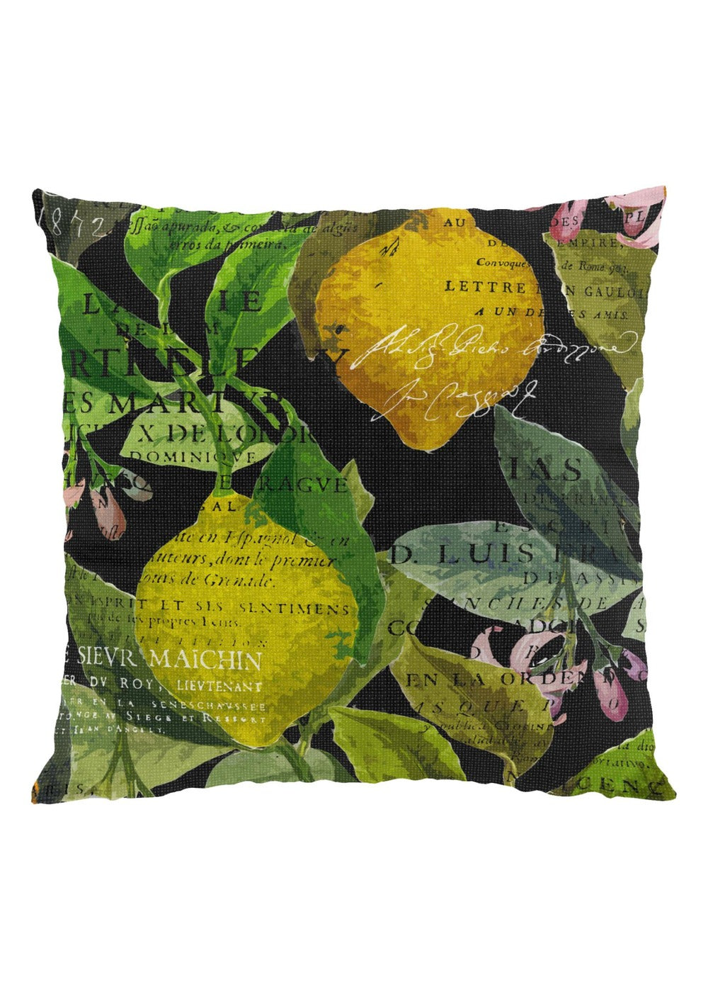 Citrus kussenhoes 47×47 cm - Zwart